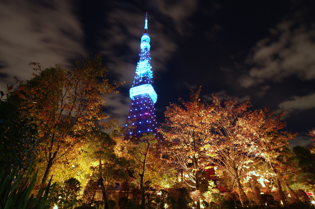 BLUE TOKYO TOWER