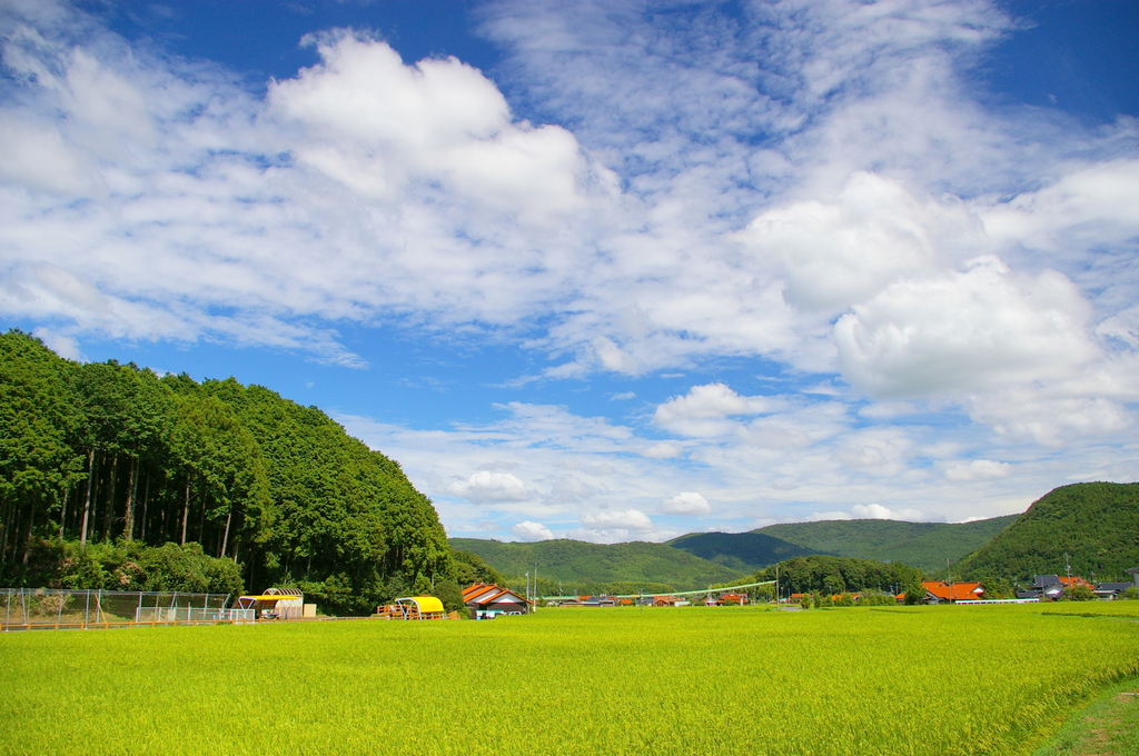 BLUE ＆ GREEN