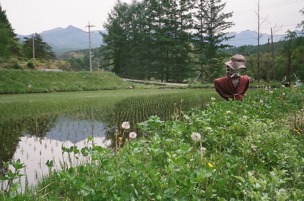 遅い春