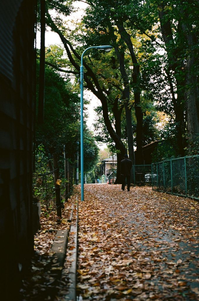 晩秋の家路