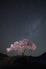上発知 2016