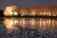 湖面のアート