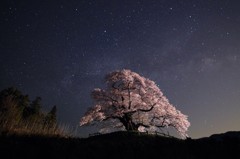 天の川と神宿る桜
