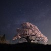 天の川と神宿る桜