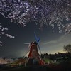 風車と夜桜