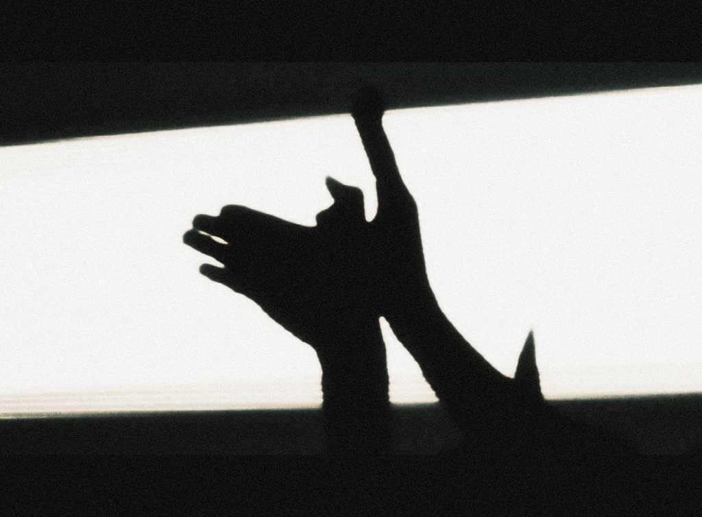 FLY