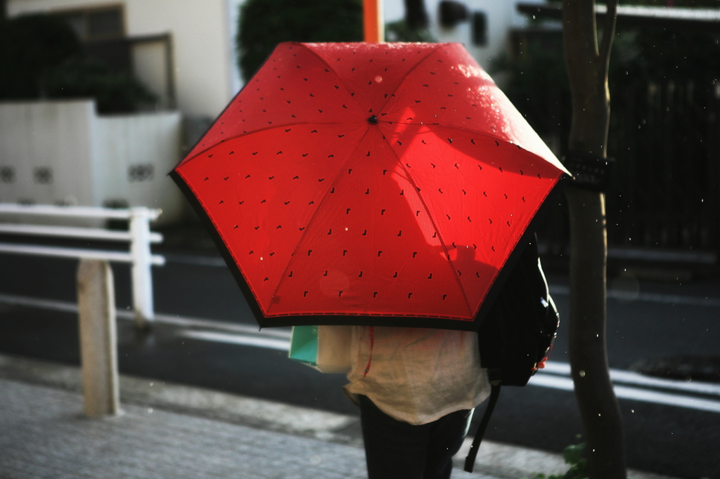 雨あがる。