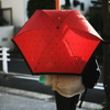 雨あがる。