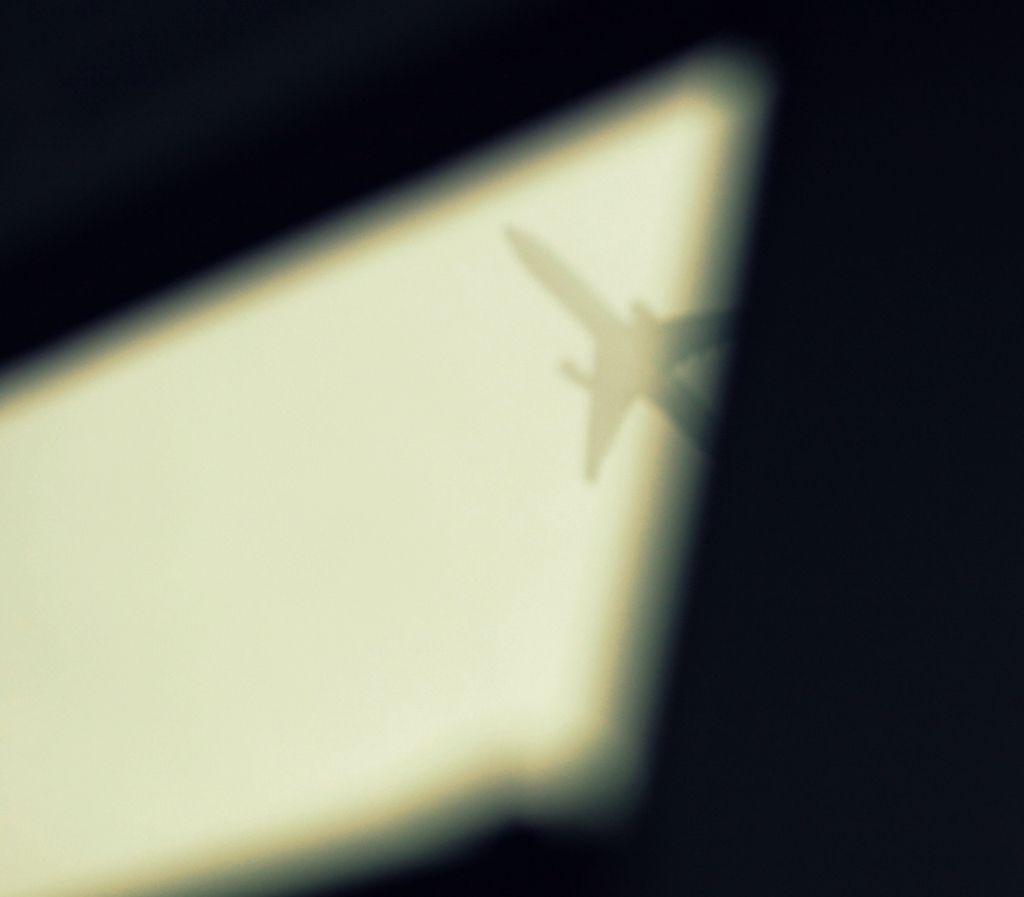 The eagle soared high in the sky.