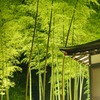 夜ぐらいは涼しく