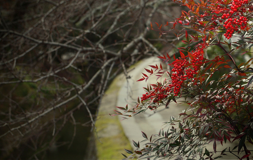 冬の紅京都　Ⅰ