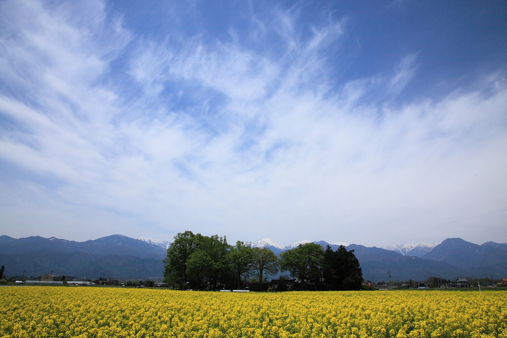 Under the blue sky