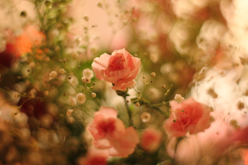 春Ⅱ