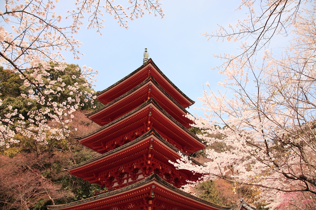 春色Ⅱ