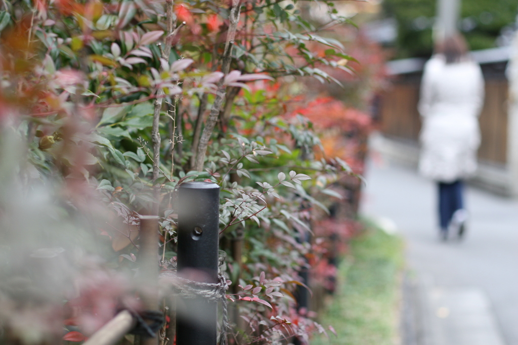 sanpo