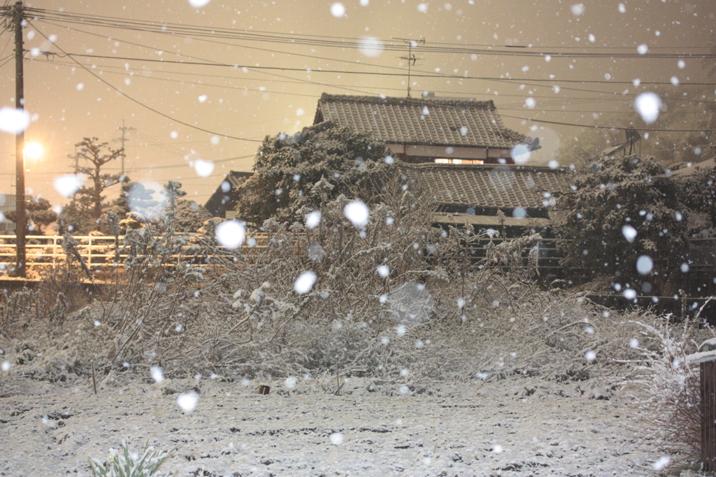 雪景色