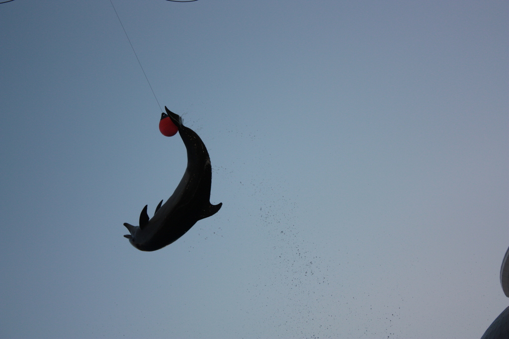 Overhead Kick....