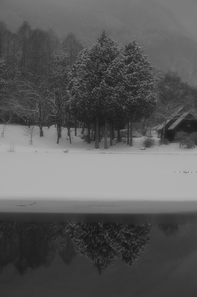 雪景