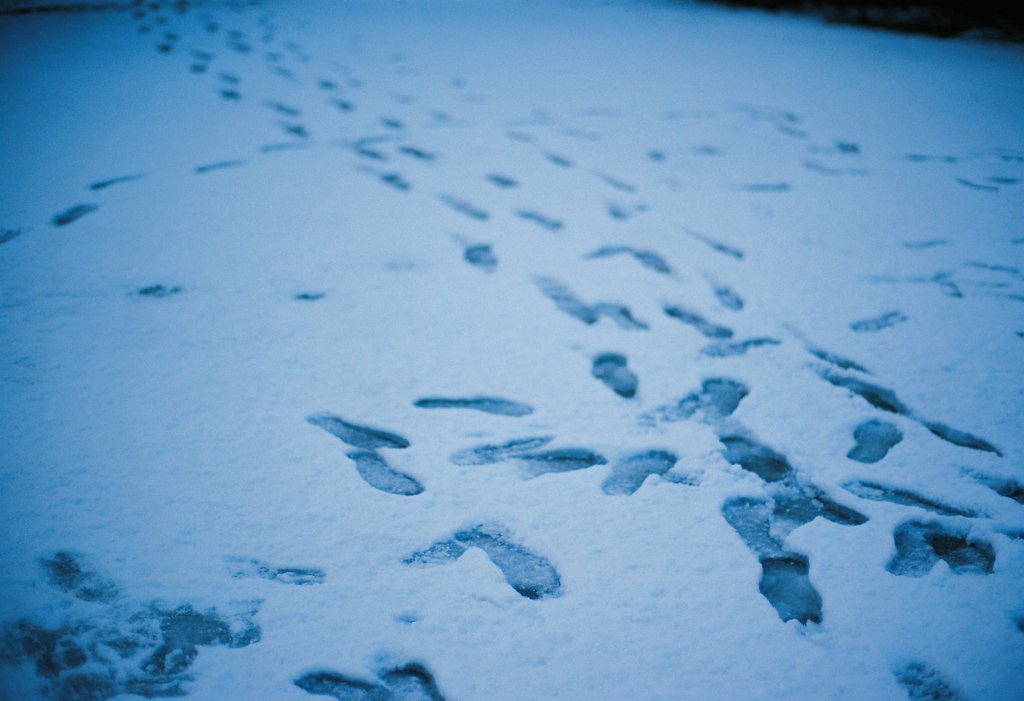 雪の日の都内