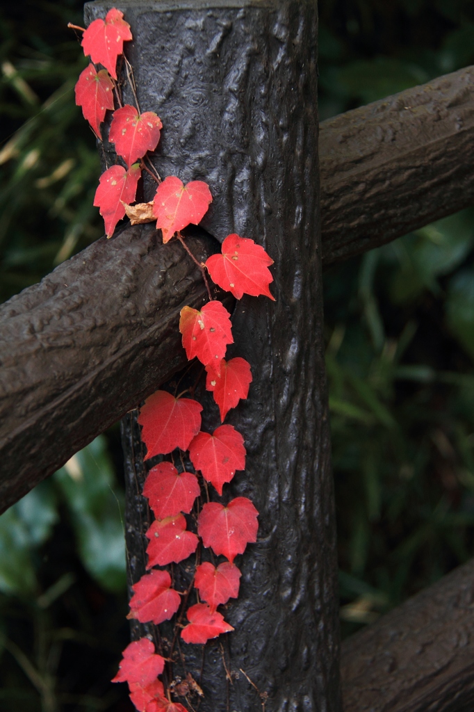 ツタえたい想い