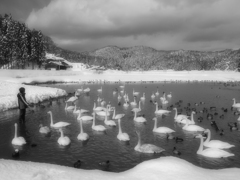 Winter Dream