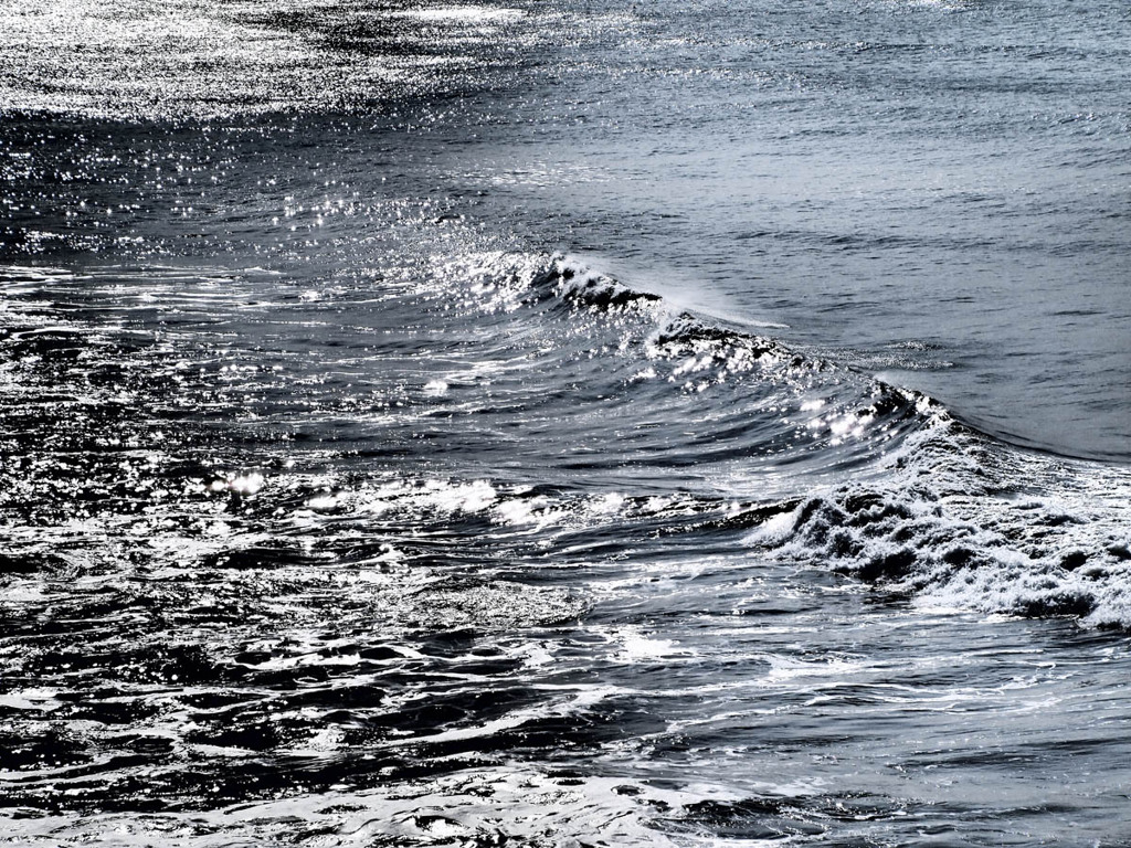 海輝く