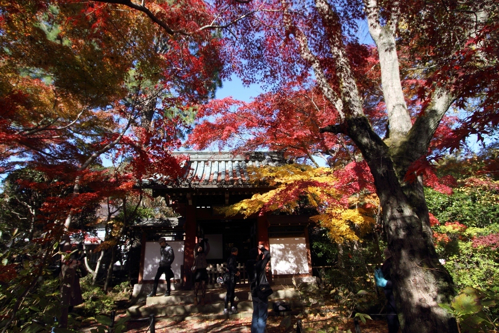 本土寺