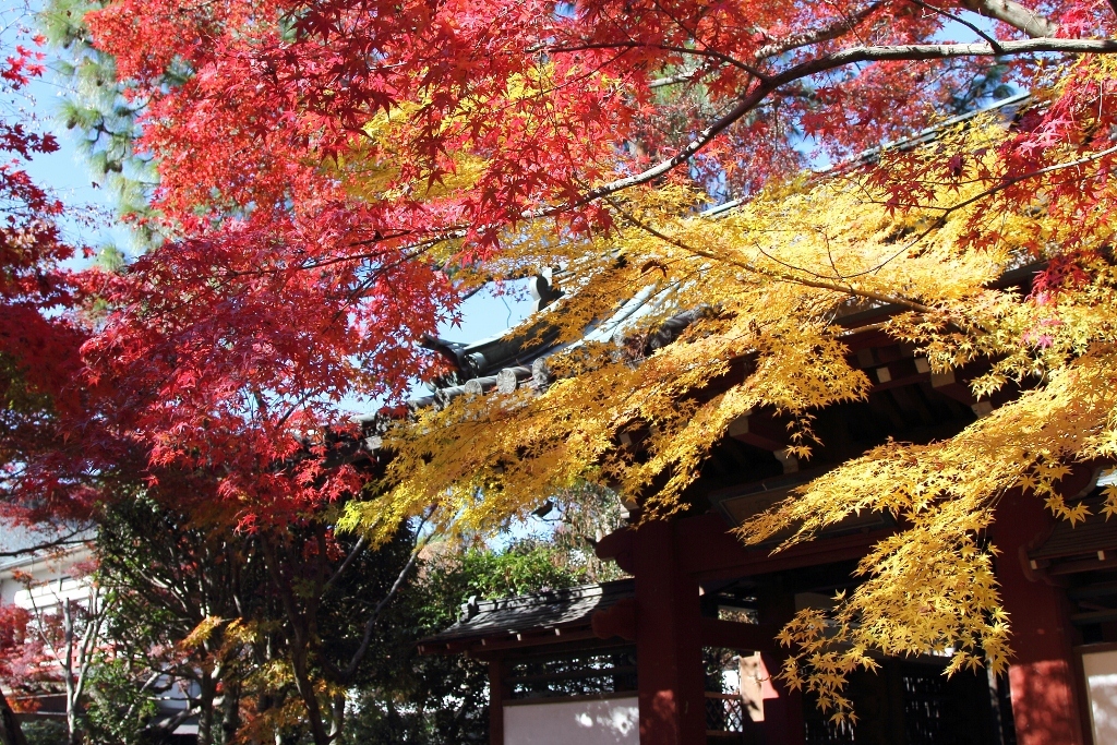本土寺