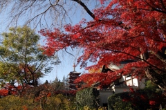 本土寺