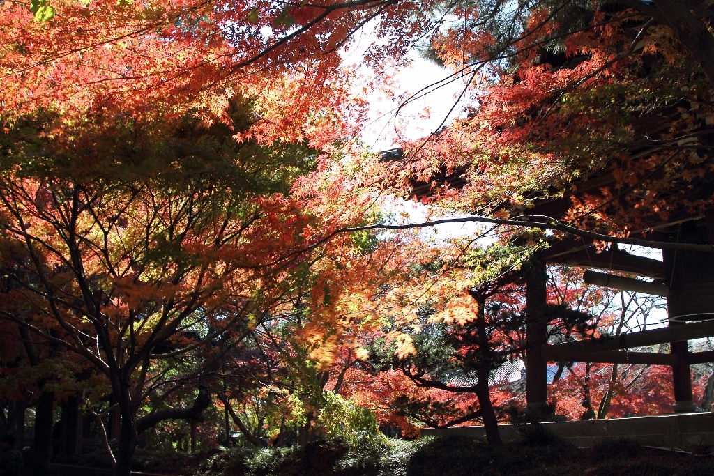 東斬寺