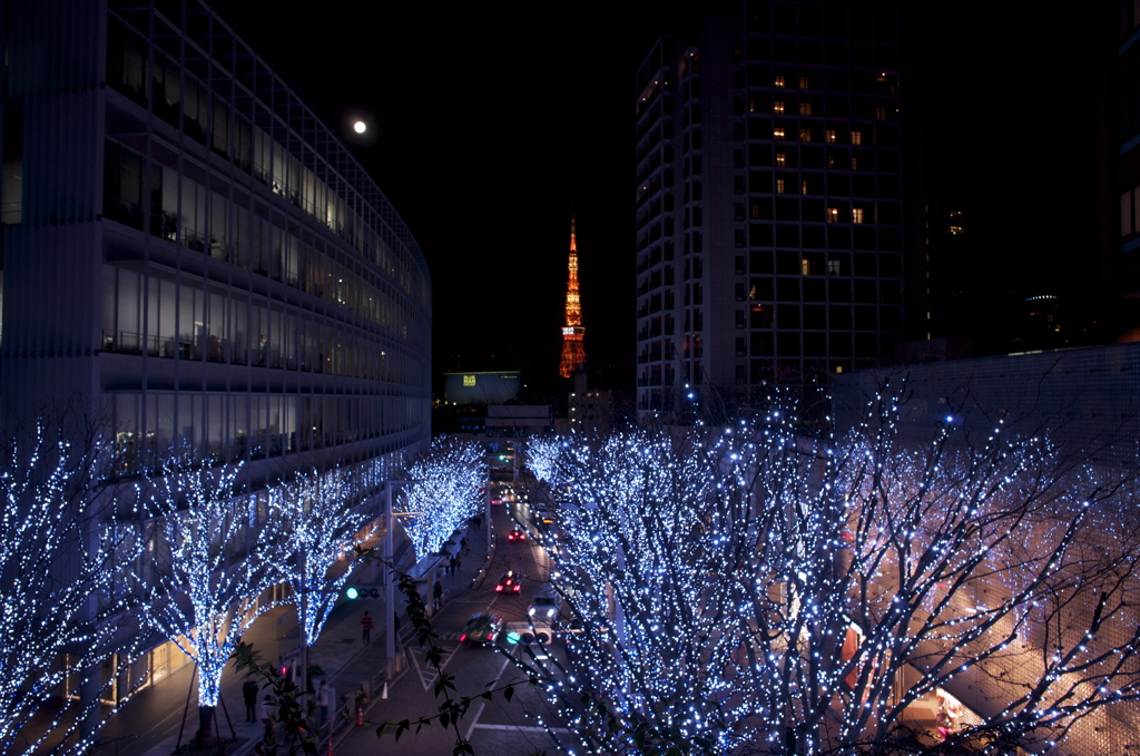 ROPPONGI 2012