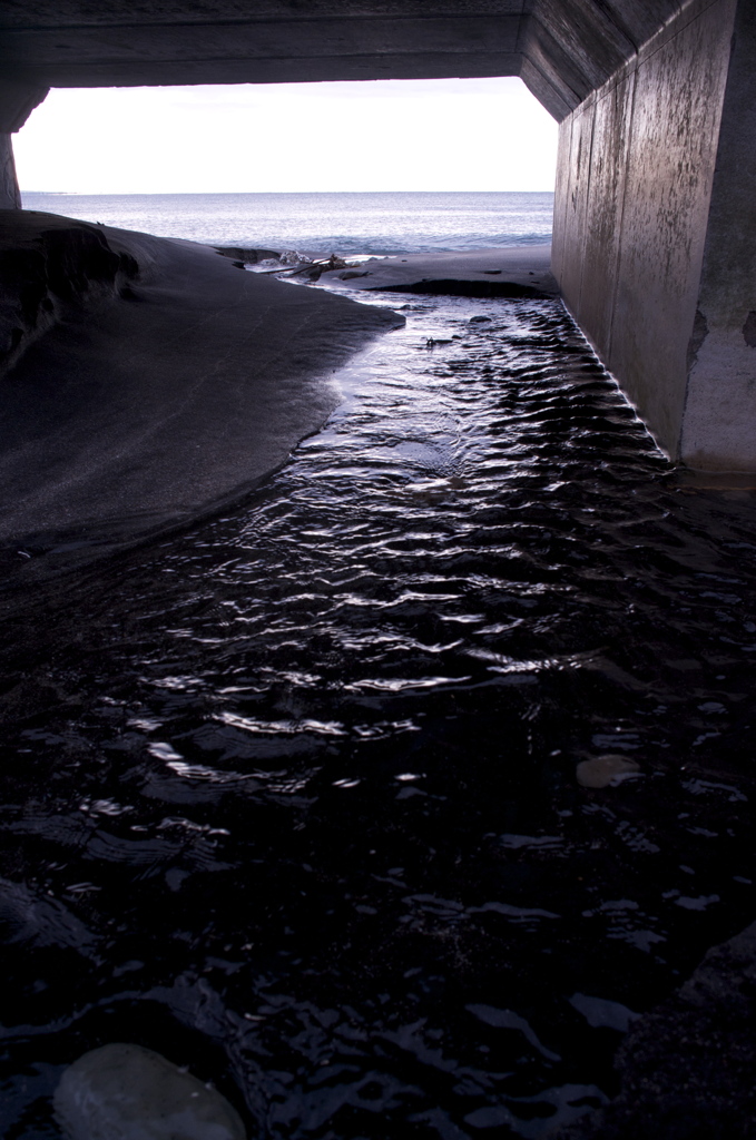 To Sea!!希望の海へ