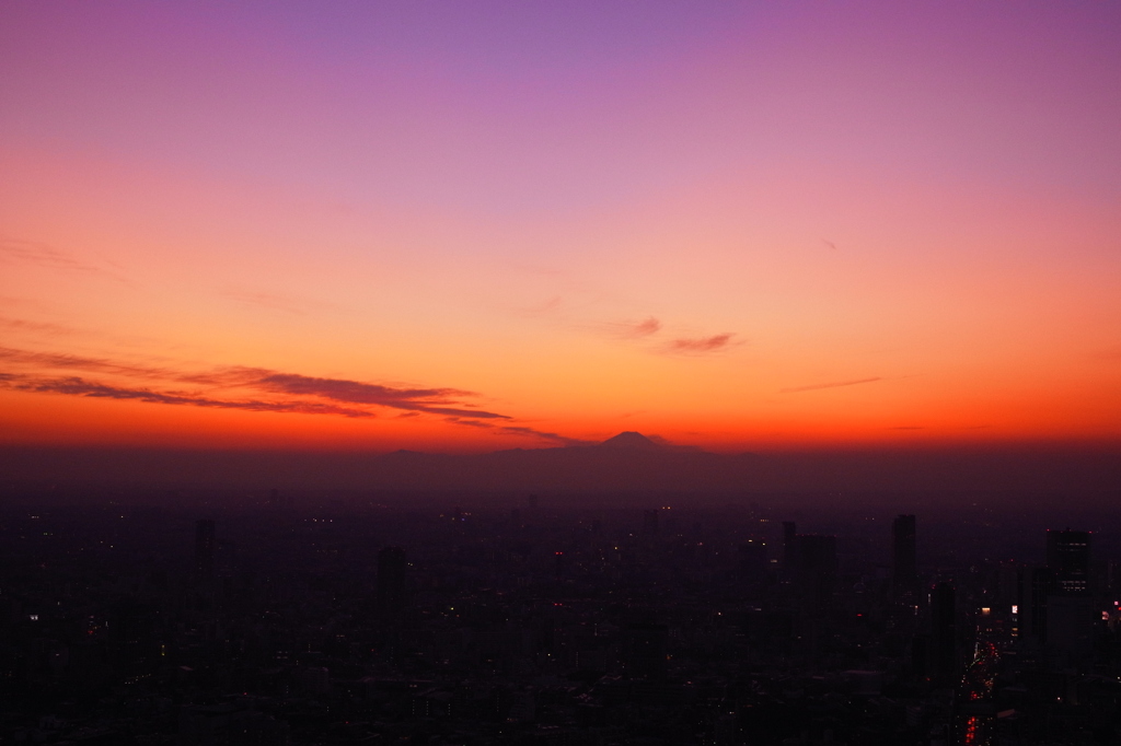 Sun Set TOKIO