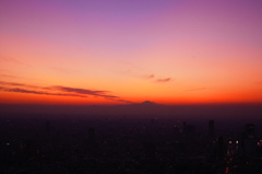 Sun Set TOKIO
