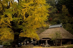 金言寺