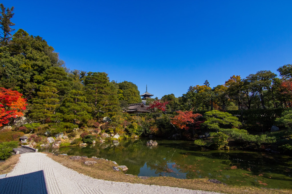 2013京都 