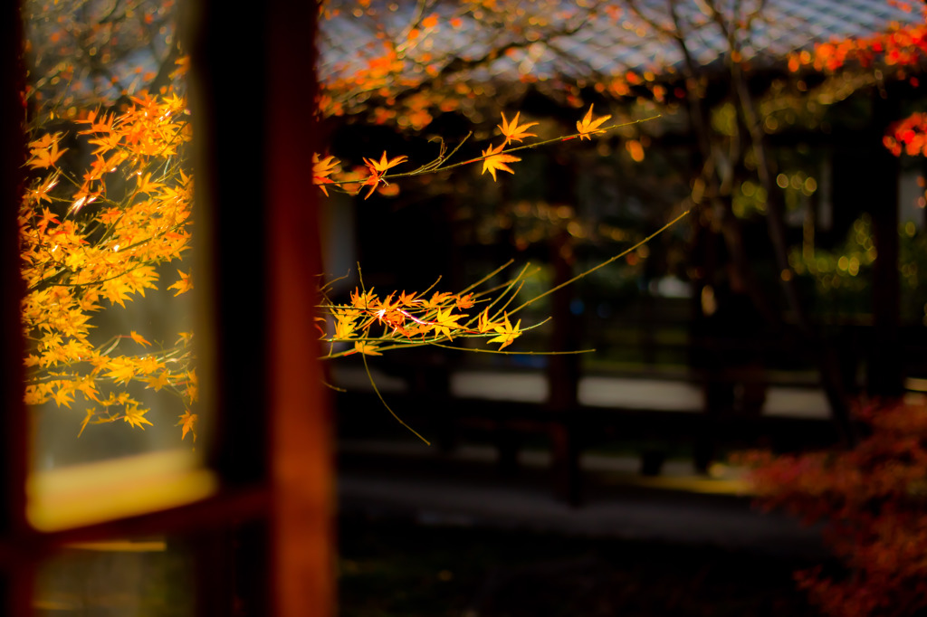 京都