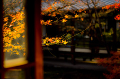京都