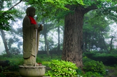 2014大山たいまつ 