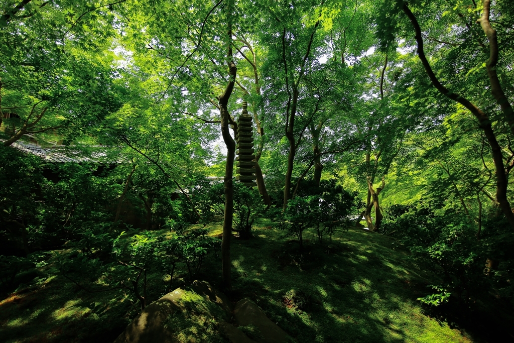 瑠璃光院