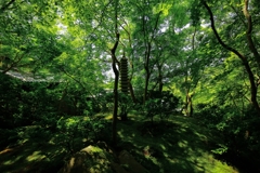 瑠璃光院