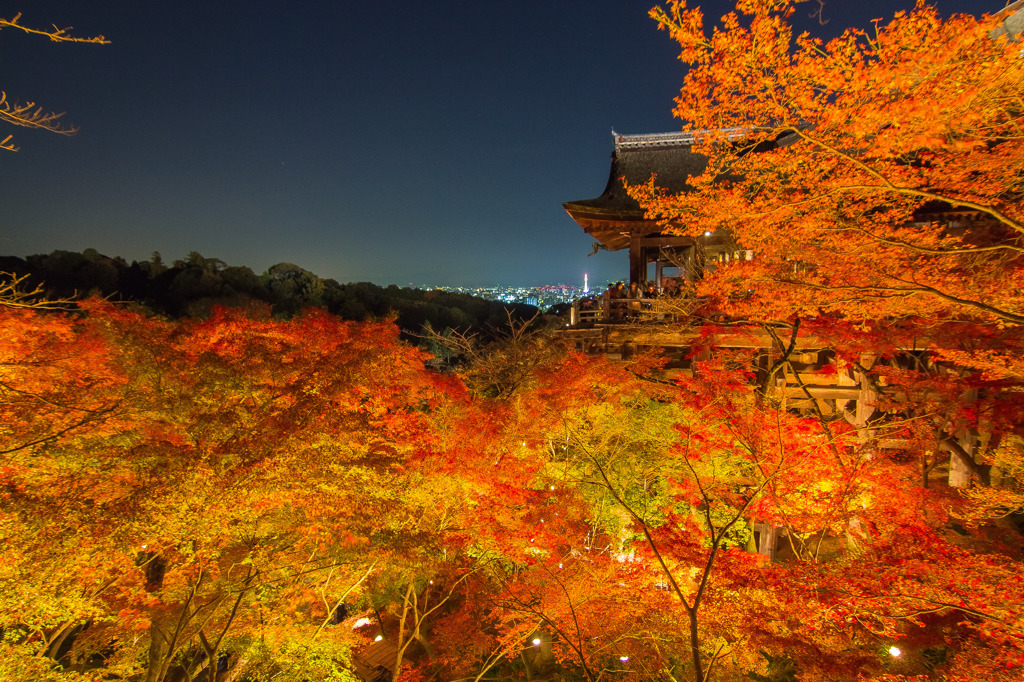 2013京都 