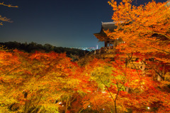 2013京都 