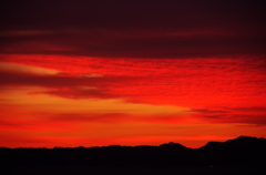 血液のような空