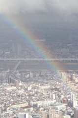 スカイツリーからの虹