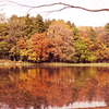 水戸市植物公園7