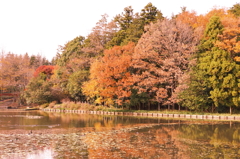 水戸市植物公園5