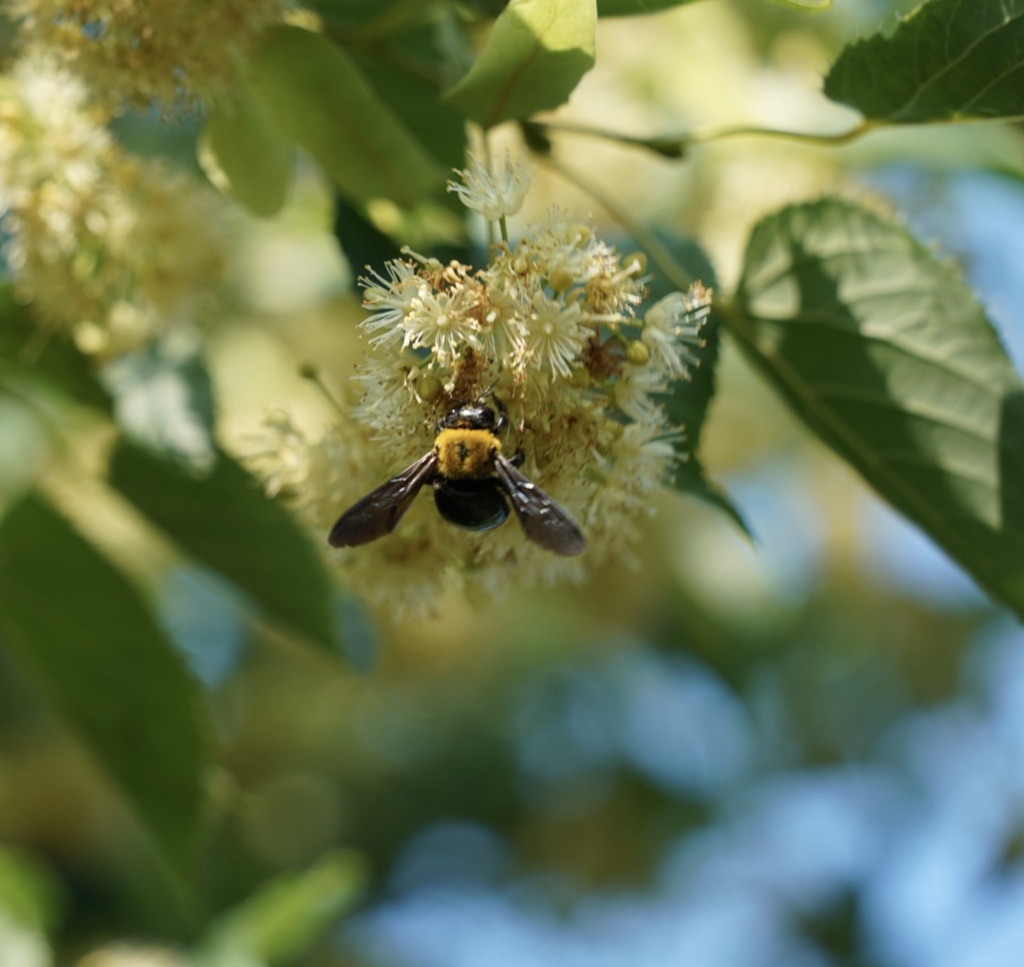 E4008A2E-1E99-409F-80E8-D3858E9EA3C5