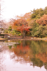 水戸市植物公園6