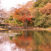 水戸市植物公園6